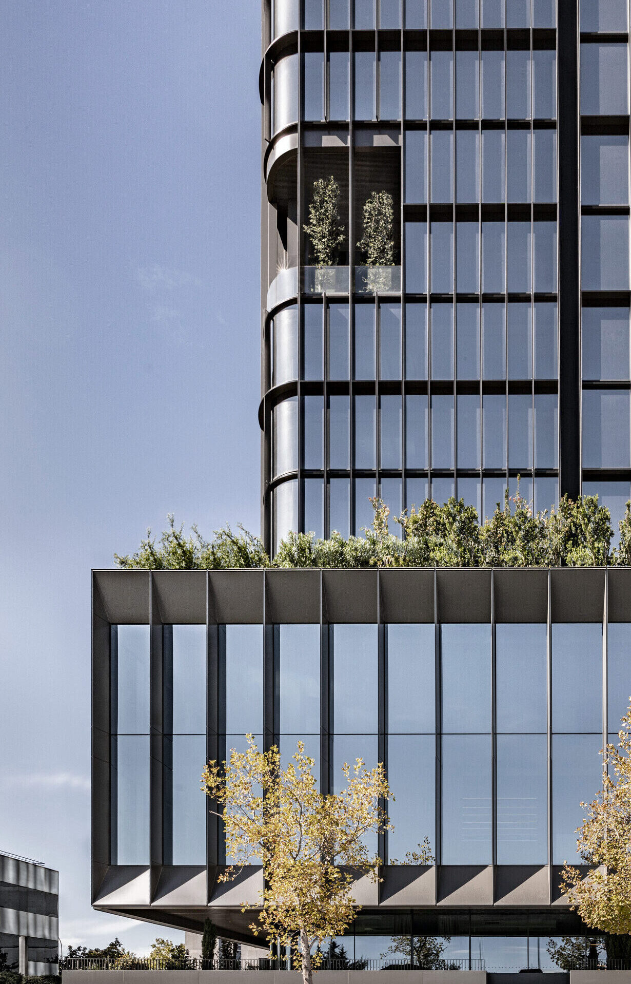 Edificio Faro
